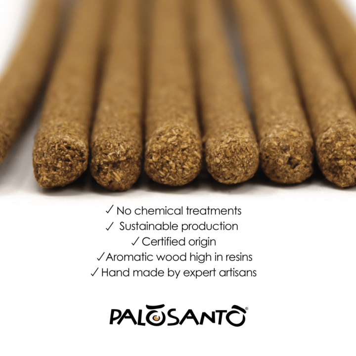 Bastoncini Incenso Palo Santo e Cannella