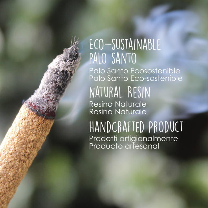 Bastoncini Incenso Palo Santo e Cannella