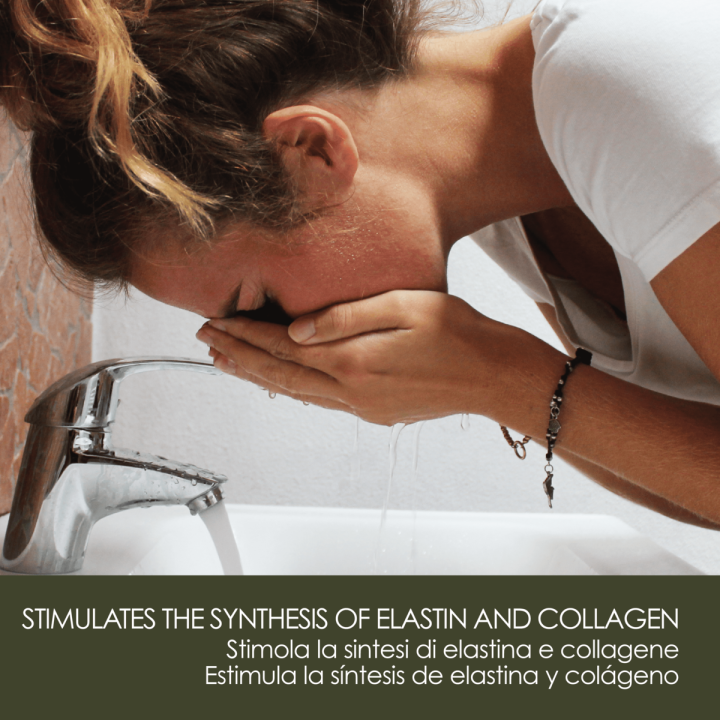 Sapone d'Aleppo 25% Olio di Alloro