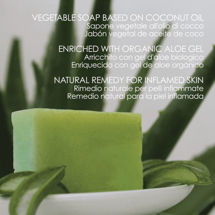Saponetta All'Aloe Vera