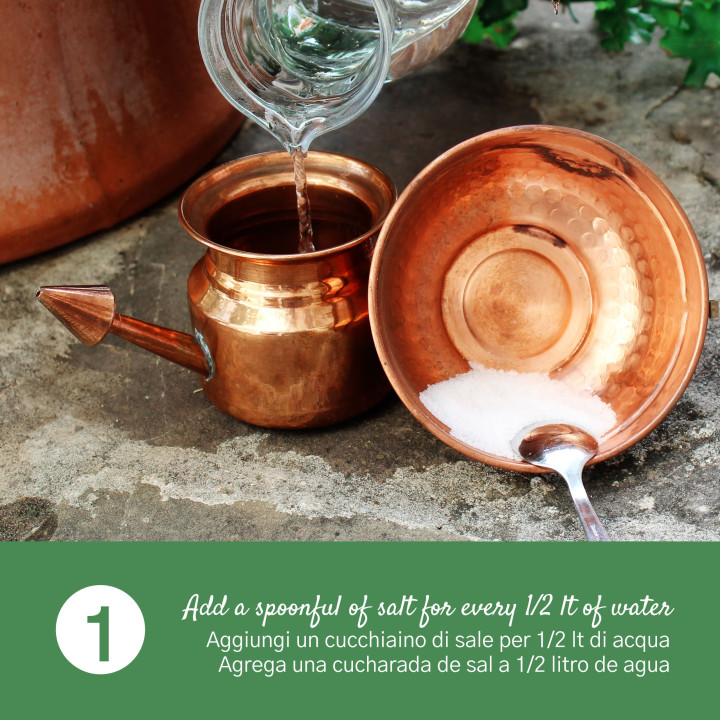 Neti Pot In Rame per Lavaggi Nasali Rimedio Ayurvedico Neti Lota