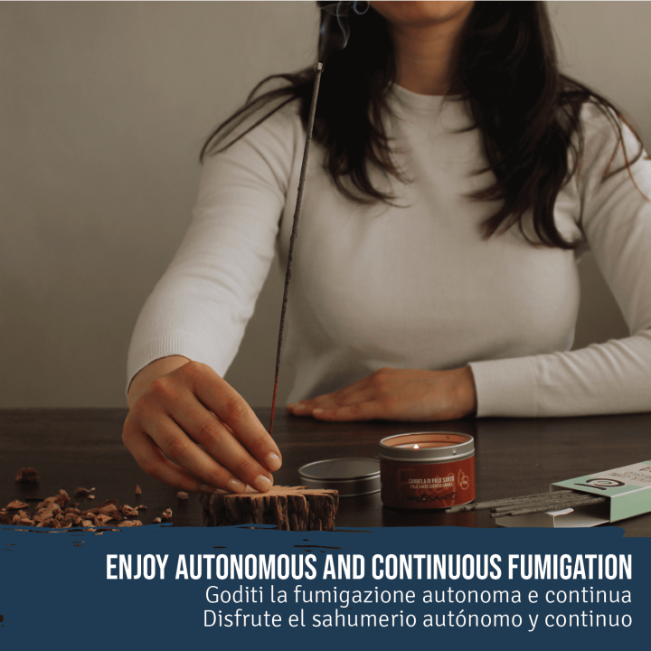 Incenso in Stick al Copal Bianco 'Tonatiuh' - 6 bastoncini