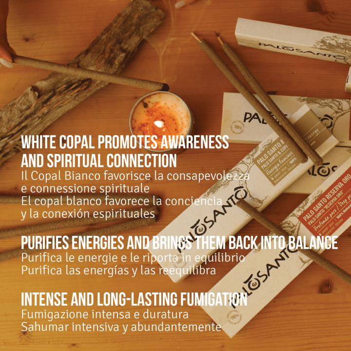 Bastoncini Incenso Palo Santo e Copal