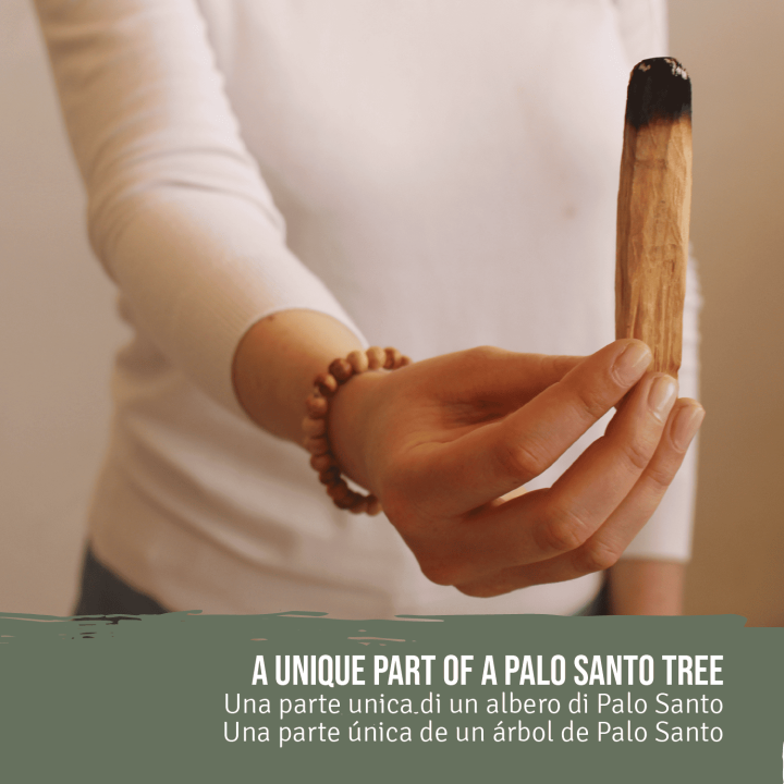 Bracciale Palo Santo®