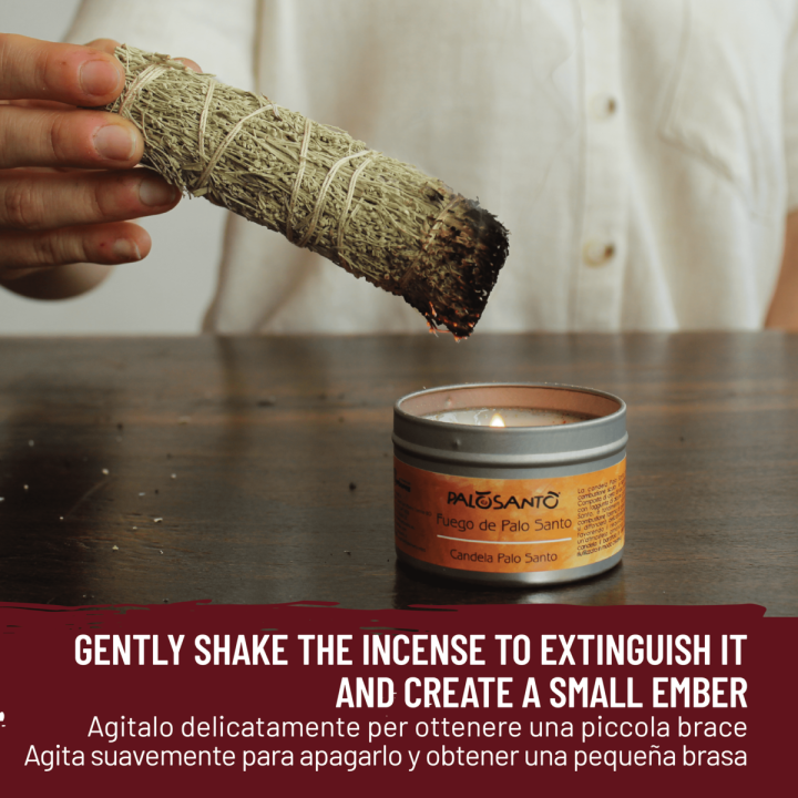 Salvia del Deserto Smudge Incenso Naturale e Ecosostenibile