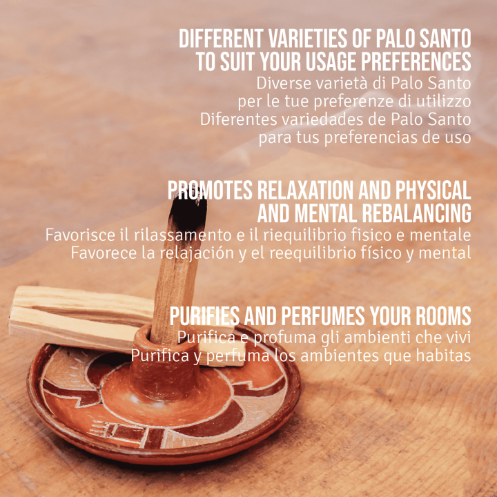 Kit Piatto Portaincenso + Paletti Palo Santo®